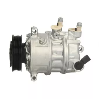 Compresseur de climatisation SANDEN PXE16-8420