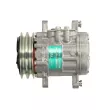 Compresseur de climatisation SANDEN SD7B10-7170 - Visuel 1