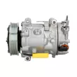 Compresseur de climatisation SANDEN SD7C16-1390E - Visuel 1