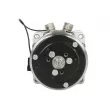 Compresseur de climatisation SANDEN SD5H14-6642 - Visuel 2