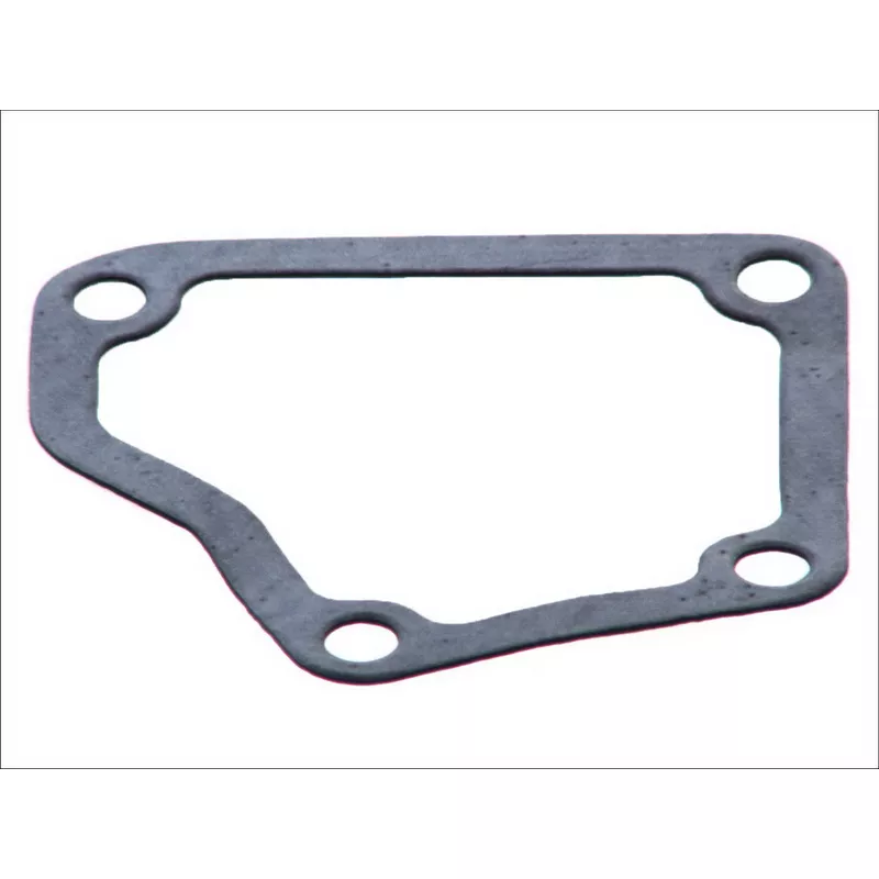 Joint d'étanchéité, boîtier du thermostat LEMA 24756.00