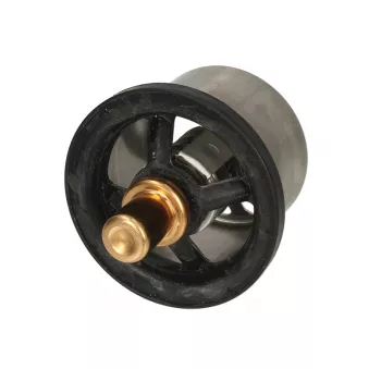Thermostat d'eau LEMA 585082