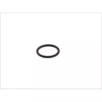 Bague d'étanchéité LEMA 123085