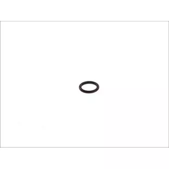 Bague d'étanchéité LEMA 121055