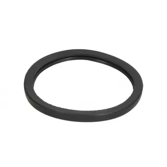 Joint d'étanchéité, boîtier du thermostat LEMA 24808.00