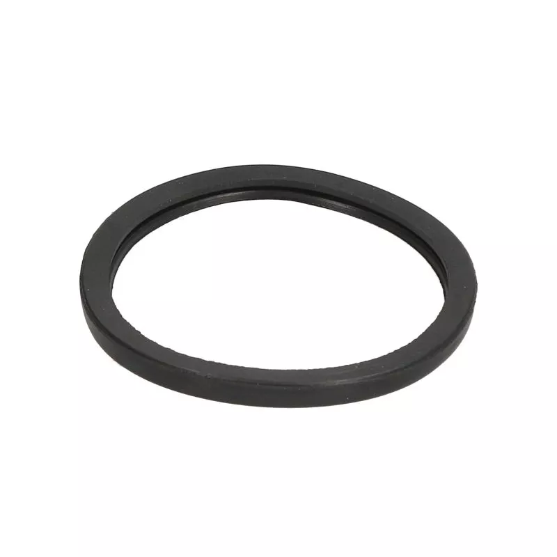 Joint d'étanchéité, boîtier du thermostat LEMA 24808.00
