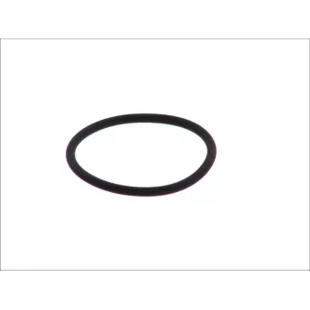 Bague d'étanchéité LEMA 125105