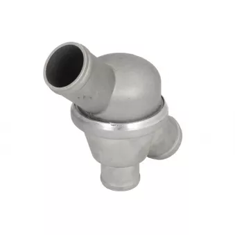 Thermostat d'eau LEMA