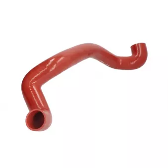 Durite de turbo LEMA 5460.00
