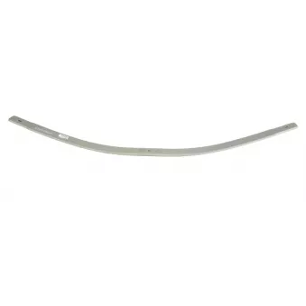 Lame de suspension TES 3372100219