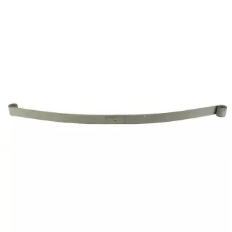 Lame de suspension TES 5003146260119 Z/T