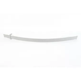Lame de suspension TES 44.117.00.02