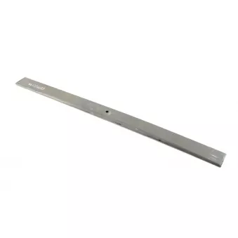 Lame de suspension TES 44.117.00.03