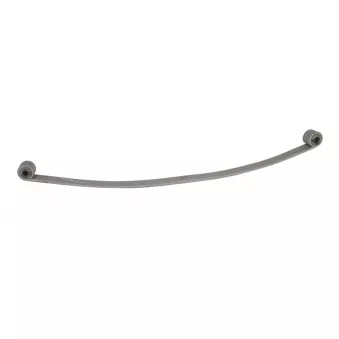 Lame de suspension TES 66732036060119 Z/T