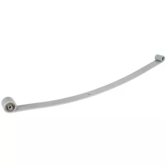 Lame de suspension TES 5510047110119 Z/T