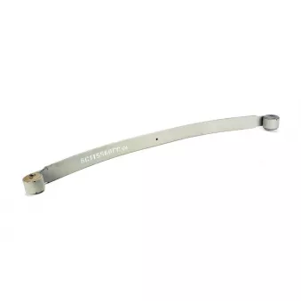Lame de suspension TES 115560FC0119 Z/T