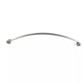 Lame de suspension TES 44.117.00.01 Z/T