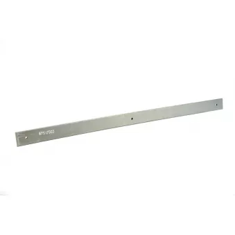 Lame de suspension TES 6751700219