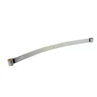 Lame de suspension TES 8500710119 Z/T