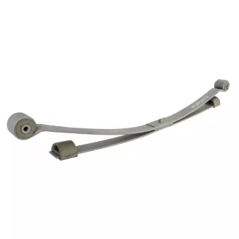 Lame de suspension TES 2T145560BP0019 Z/T