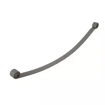 Lame de suspension TES 44.117.00 T1 Z/T