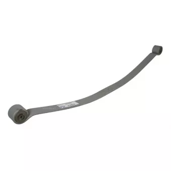 Lame de suspension TES 3379500119 Z/T