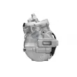 Compresseur de climatisation SANDEN PXC14-1787 - Visuel 3