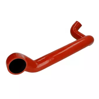 Durite de turbo LEMA 5462.00