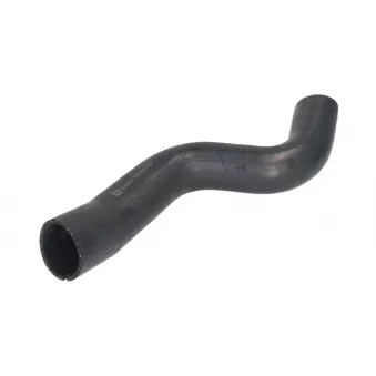 Durite de turbo LEMA 5461.19