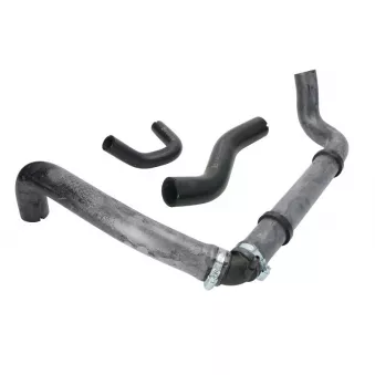 Durite de refroidissement LEMA 9431.55
