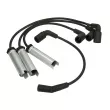 Kit de câbles d'allumage MAGNETI MARELLI 941318111273 - Visuel 1