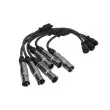 Kit de câbles d'allumage MAGNETI MARELLI 941455010942 - Visuel 1