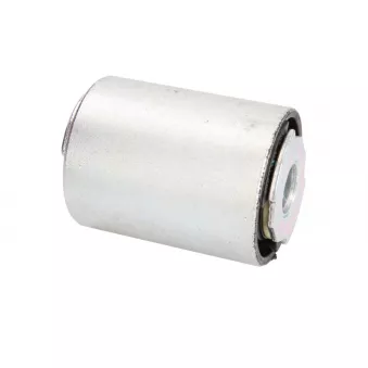 Suspension, recours à lames MAGNETI MARELLI
