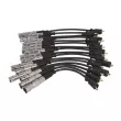 Kit de câbles d'allumage MAGNETI MARELLI 941318111285 - Visuel 1