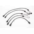 Kit de câbles d'allumage MAGNETI MARELLI 941319170011 - Visuel 1