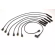 Kit de câbles d'allumage MAGNETI MARELLI 941319170095 - Visuel 1