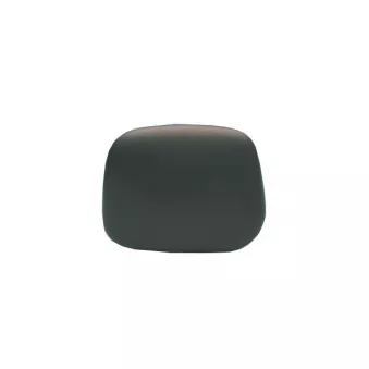 Coque de rétroviseur MAGNETI MARELLI 351991203550
