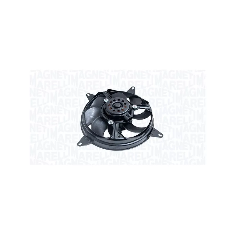 Ventilateur, refroidissement du moteur MAGNETI MARELLI 069422489010