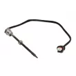 Capteur, température des gaz MAGNETI MARELLI 172000585010 - Visuel 1