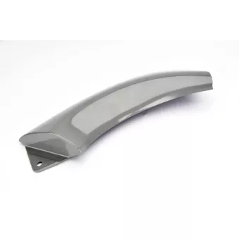 Bordure de phare avant droit KOREA R00063