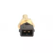 Sonde de température, liquide de refroidissement KOREA K60302K - Visuel 2