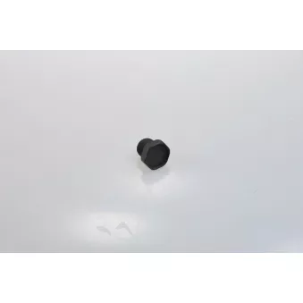 Bouchon du remplissage d'huile KOREA RK0011