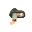 Interrupteur, contacteur de porte KOREA KP0071 - Visuel 2