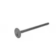 Soupape d'échappement KOREA O80522OEM - Visuel 1