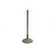 Soupape d'admission KOREA O70317OEM - Visuel 1