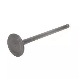Soupape d'échappement KOREA O80317OEM