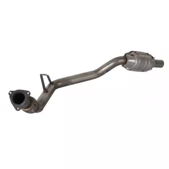 catalyseur JMJ 1080028