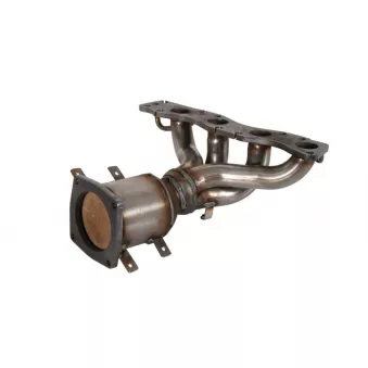 Catalyseur JMJ 1091567