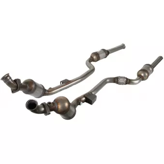 catalyseur JMJ 1091559