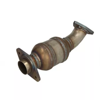 catalyseur JMJ 1080341